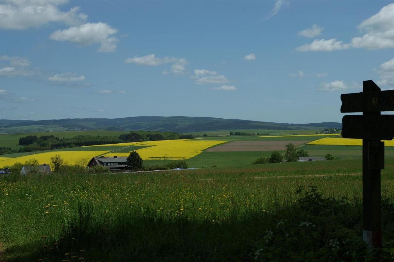 Klein'S Hochwaldscheune Pellingen 외부 사진